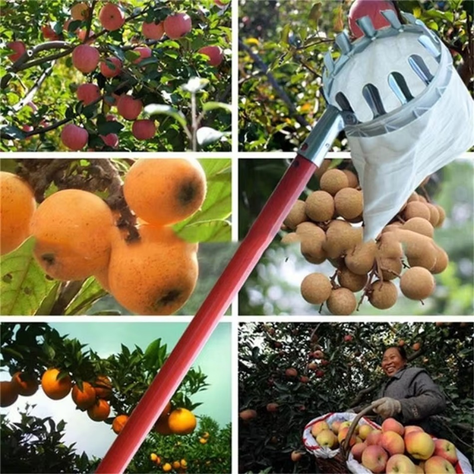 Agriculture Farming Tool - Raccoglitrice di frutta in ferro zincato