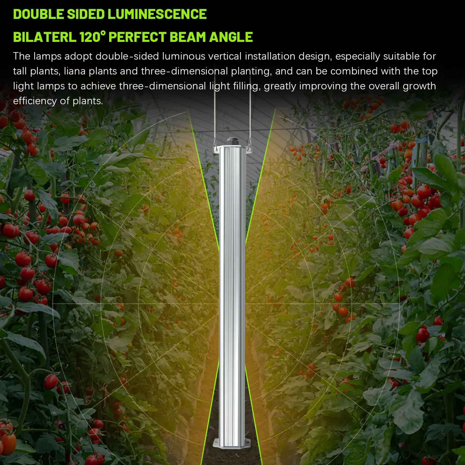 List Of Agriculture Farming - Migliore Sistema Idroponico Certificato ETL per