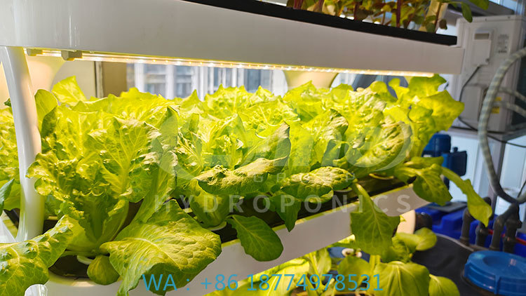 Farming Agriculture Equipment - c Macchina agricola per coltivare la