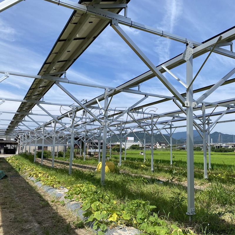 Agriculture Farming In Japan - Nuovo Sistema di Montaggio Solare in