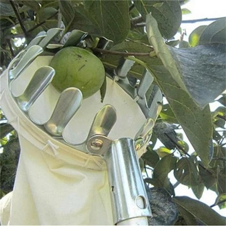 Raccoglitrice di frutta in fer - Agriculture Farming Tool recensione e prezzo