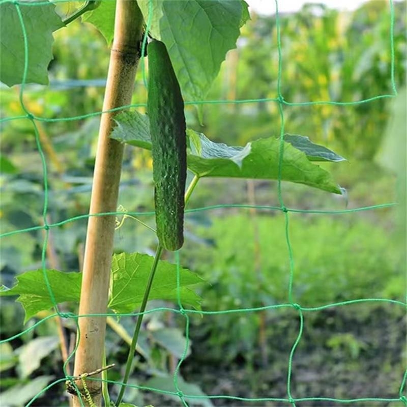 Rete supporto per piante da gi - Agriculture Farming Net recensione e prezzo