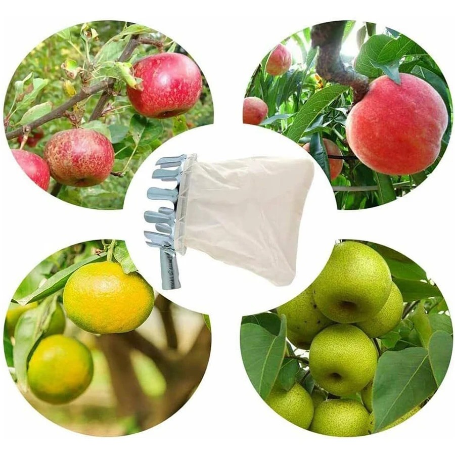 Raccogli Frutta Professionale: - Agriculture Farming Tool recensione e prezzo